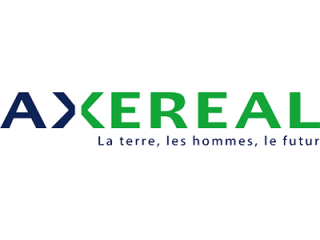 axereal