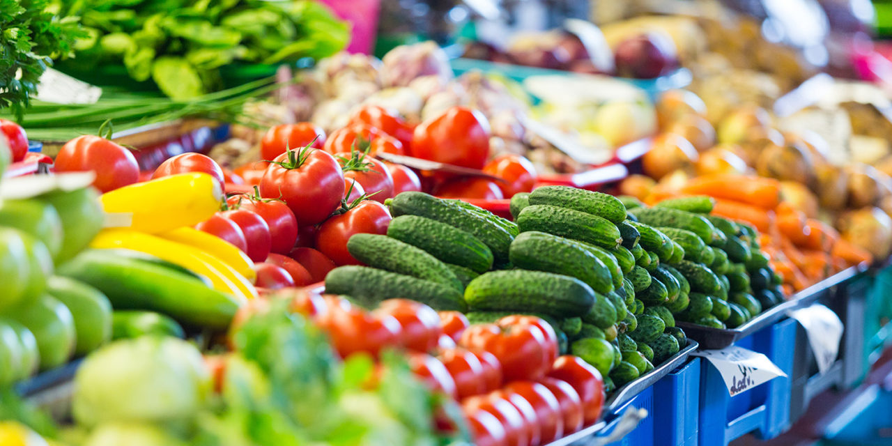 Obtenir une certification agricole ou intégrer une filière agroécologique plus rapidement