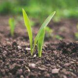 agriculture medinbio