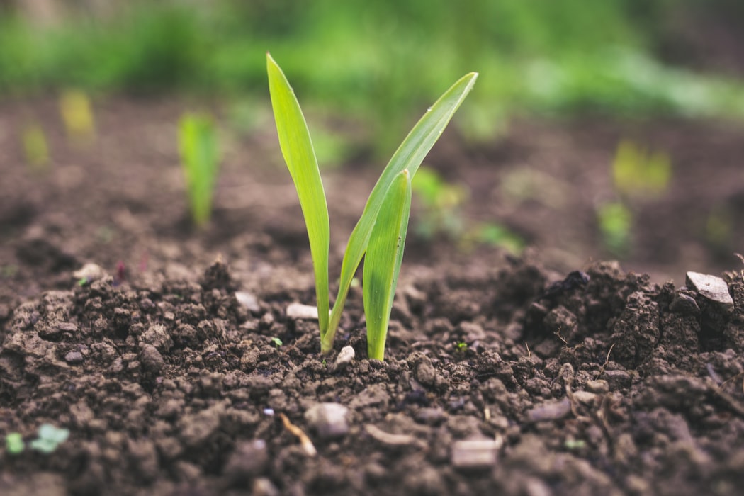 https://www.medinbio.com/wp-content/uploads/2021/06/agriculture-medinbio.jpg
