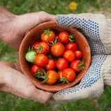 Exploitation Agricole Biologique