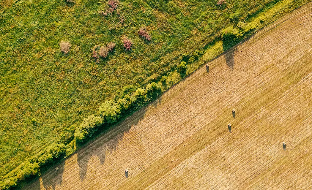 Agriculture : réduire son empreinte environnementale