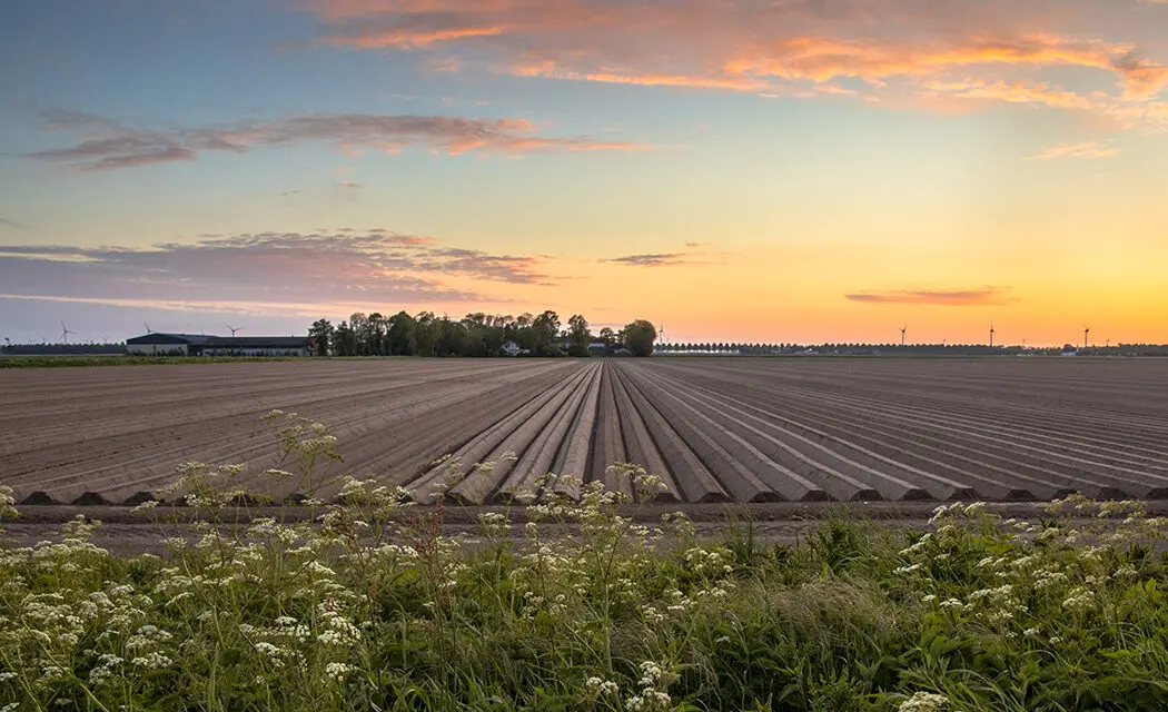 Sustainable agriculture certification