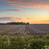 agriculture raisonnée