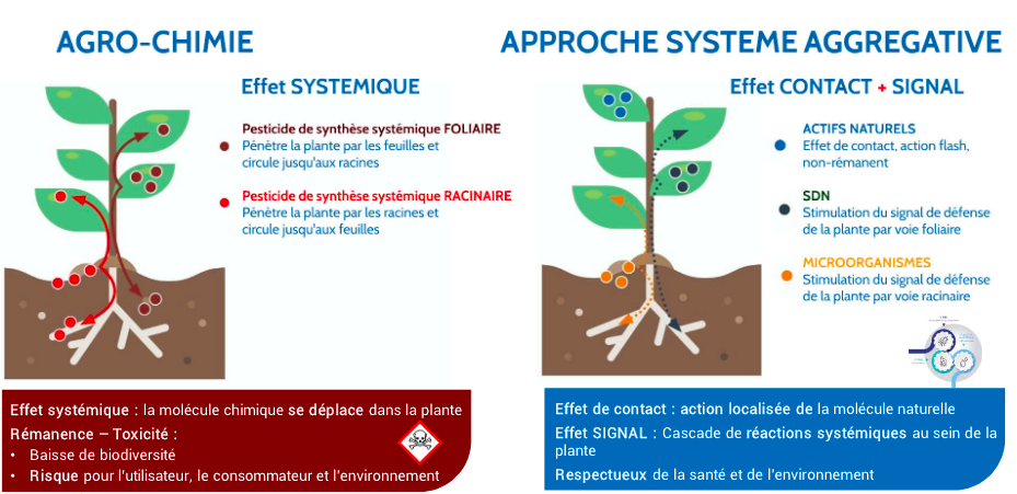 aggregative system approach